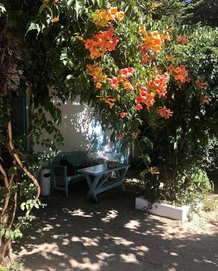 Hotel Casa Stavros Două Mai Exteriér fotografie