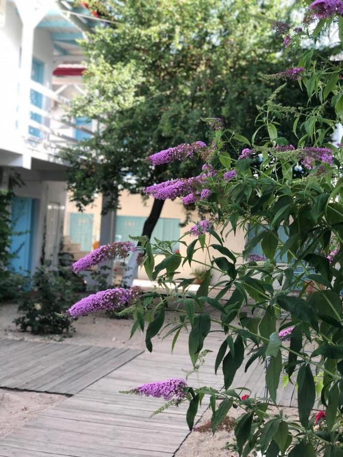 Hotel Casa Stavros Două Mai Exteriér fotografie