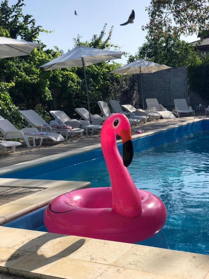 Hotel Casa Stavros Două Mai Exteriér fotografie