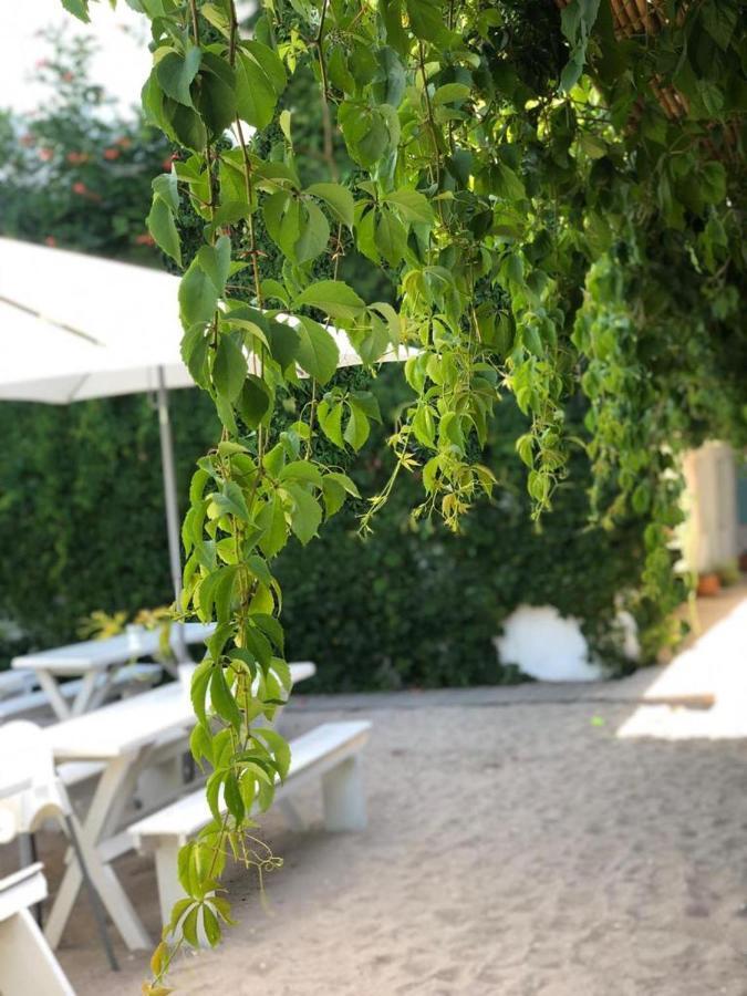 Hotel Casa Stavros Două Mai Exteriér fotografie
