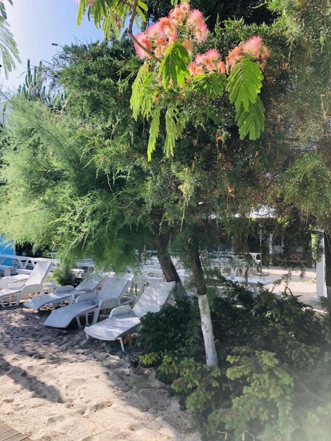 Hotel Casa Stavros Două Mai Exteriér fotografie